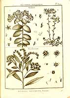  no thumbnail available