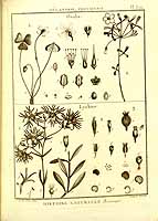  no thumbnail available