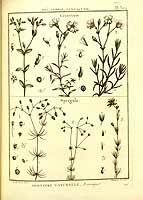  no thumbnail available