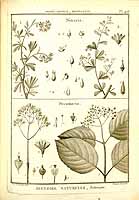  no thumbnail available