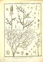  no thumbnail available