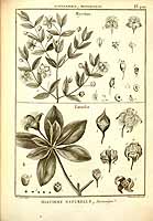  no thumbnail available