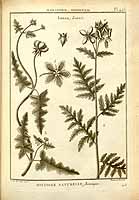  no thumbnail available