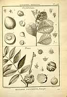  no thumbnail available