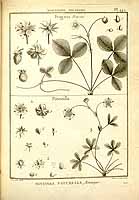  no thumbnail available