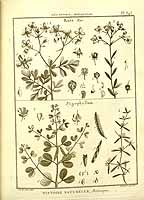  no thumbnail available