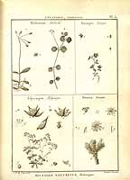  no thumbnail available