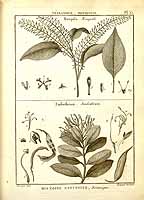  no thumbnail available