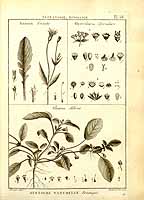  no thumbnail available