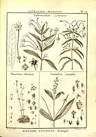  no thumbnail available