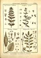  no thumbnail available