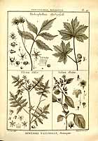  no thumbnail available