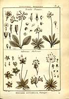  no thumbnail available