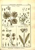  no thumbnail available