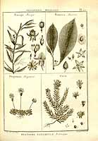  no thumbnail available