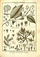  no thumbnail available