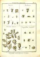  no thumbnail available