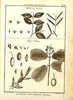  no thumbnail available