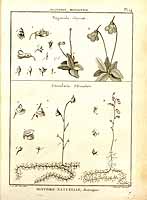  no thumbnail available