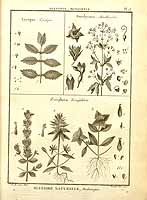  no thumbnail available