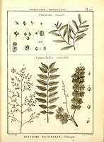  no thumbnail available