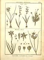  no thumbnail available