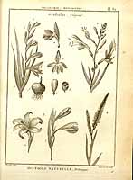  no thumbnail available