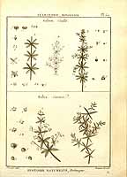  no thumbnail available