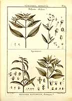  no thumbnail available