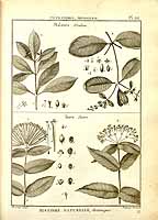  no thumbnail available