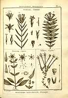  no thumbnail available