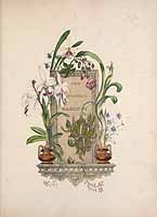  no thumbnail available