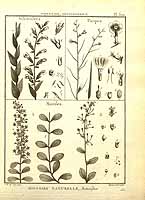  no thumbnail available