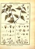  no thumbnail available