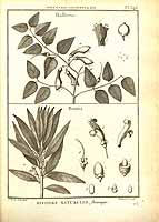  no thumbnail available