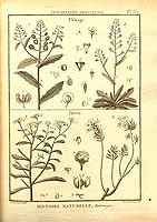  no thumbnail available