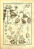  no thumbnail available