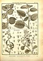  no thumbnail available