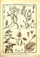  no thumbnail available