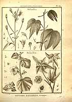  no thumbnail available