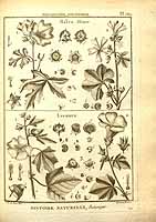  no thumbnail available