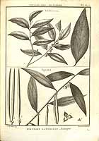  no thumbnail available