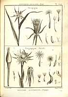  no thumbnail available