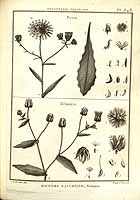  no thumbnail available