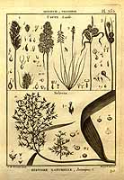  no thumbnail available