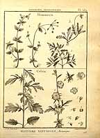  no thumbnail available