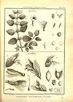  no thumbnail available