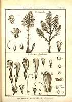  no thumbnail available