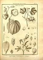  no thumbnail available