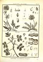  no thumbnail available